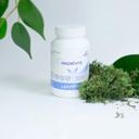 Lepivits - Magnévits