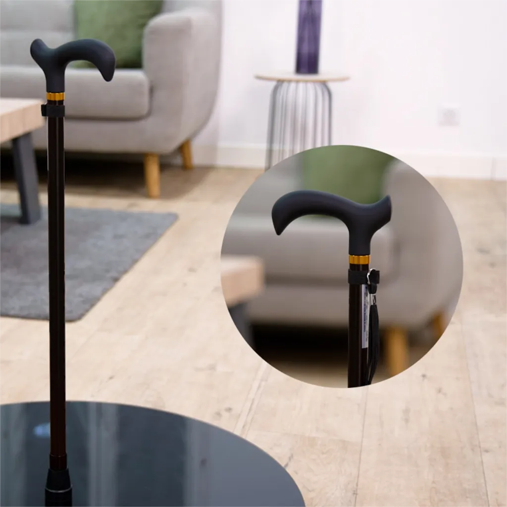 canne-design-fixe-reglable-aluminium-noire.webp